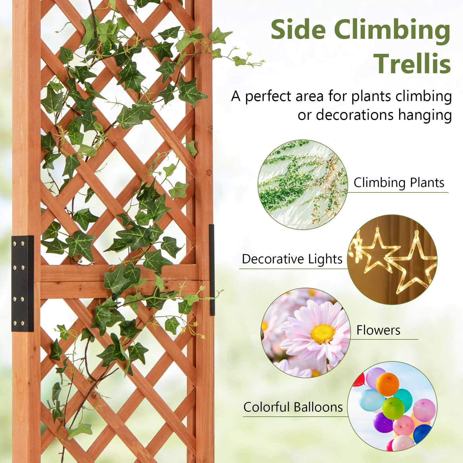 Side Climbing Trellis: A perfect area for plants climbing or decorations hanging.