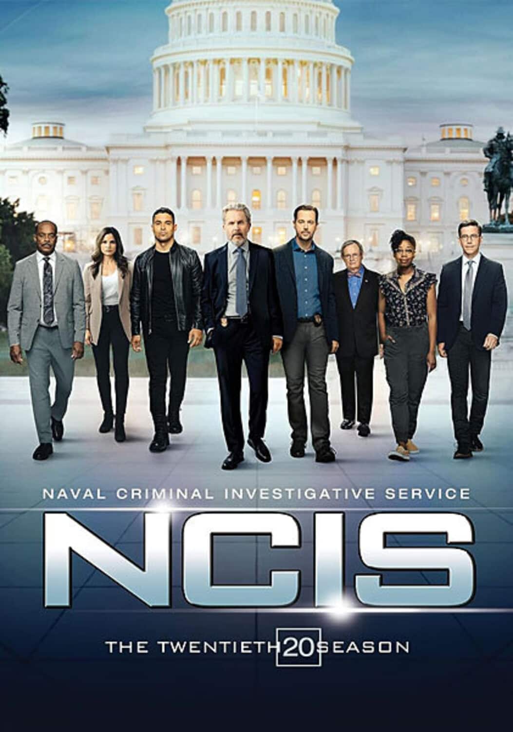 NCIS: Naval Criminal Investigative Service: The Twentieth Season  - DVD