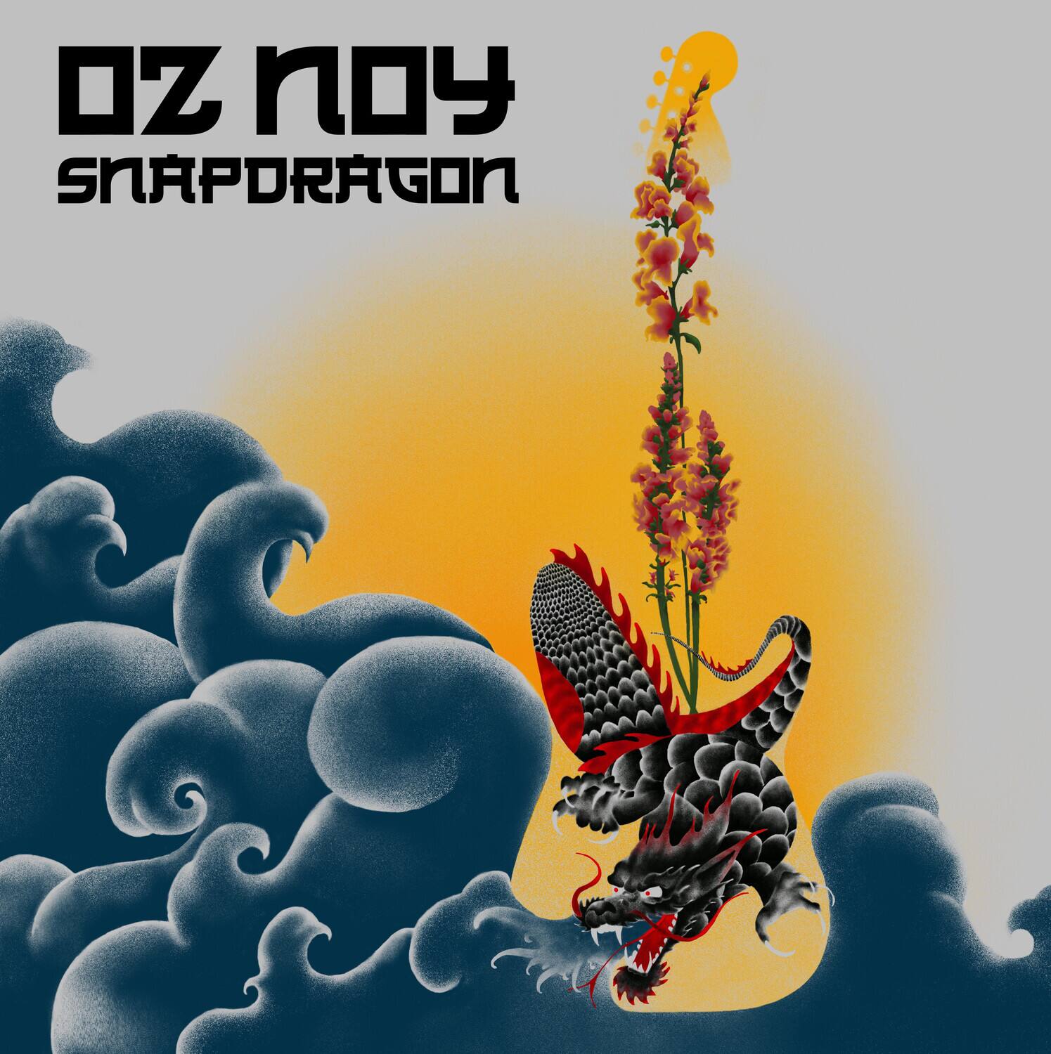 Oz Noy  
Shapdragon
