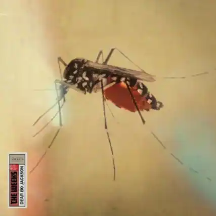 The text on the image reads:
"THE BUGS
DEAR JACKSON"