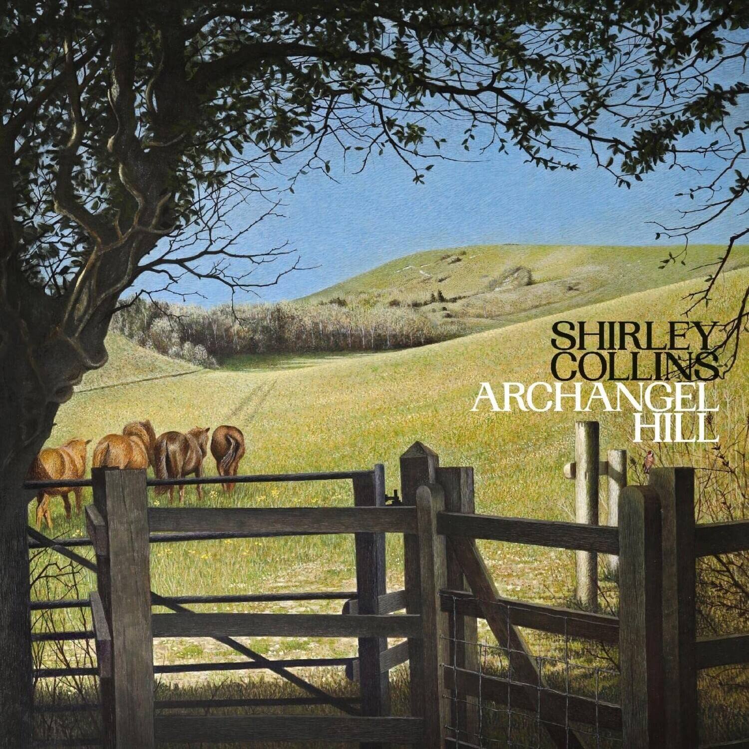 Shirley Collins - Archangel Hill   - VINYL LP price history on PriceWatchPro
