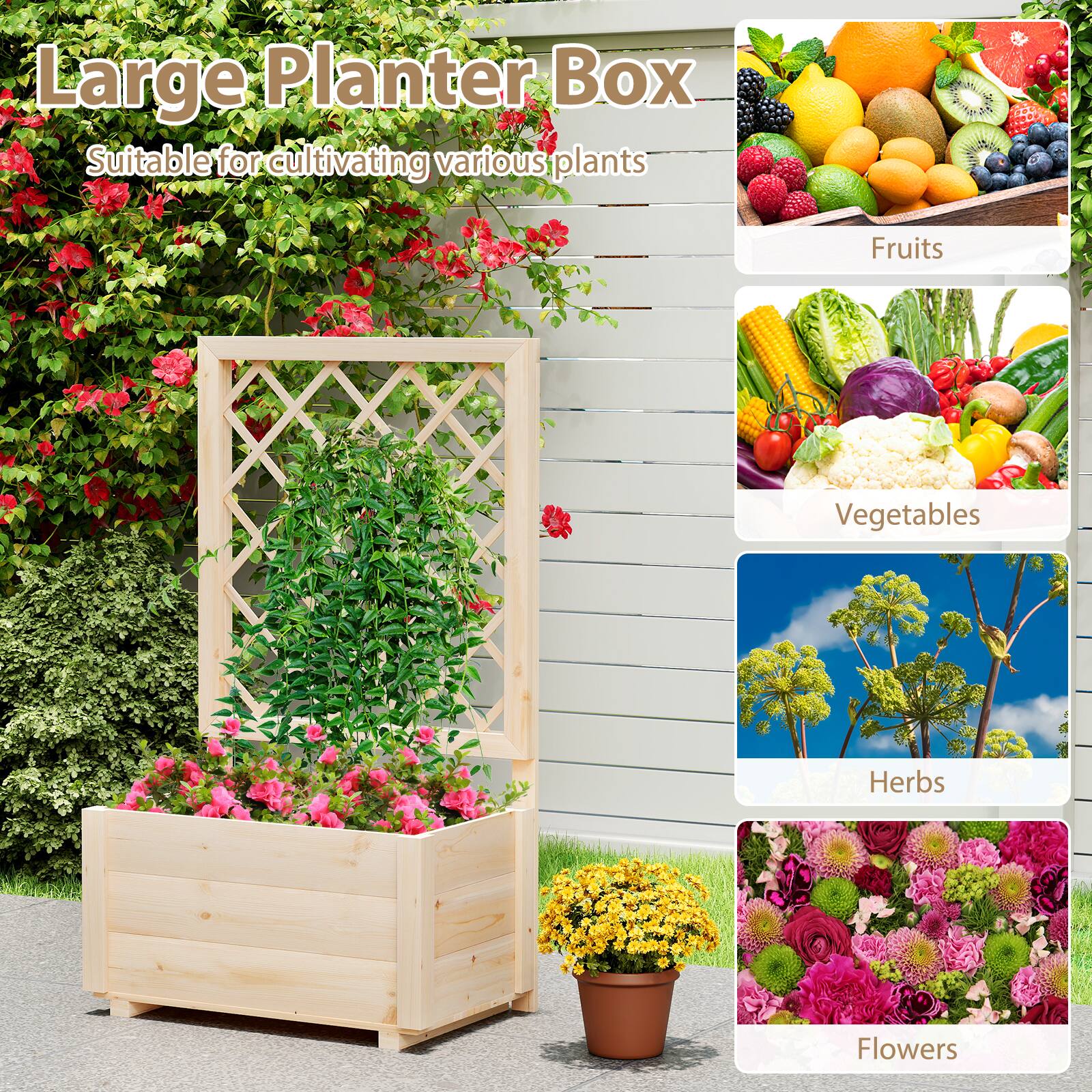 Large Planter Box  
Suitable for cultivating various plants:  
- Fruits  
- Vegetables  
- Herbs  
- Flowers
