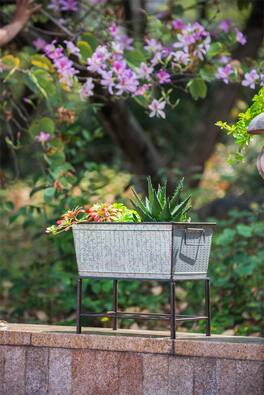 Boyel Living - Set of 2 Zale Rustic Metal Planters with Stands