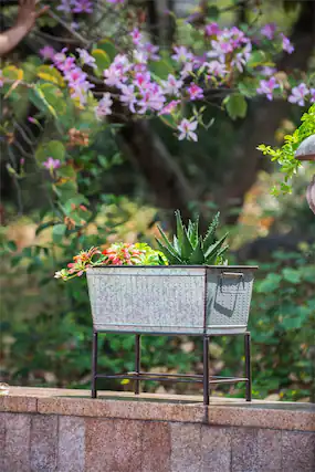 Front. Boyel Living - Set of 2 Zale Rustic Metal Planters with Stands.