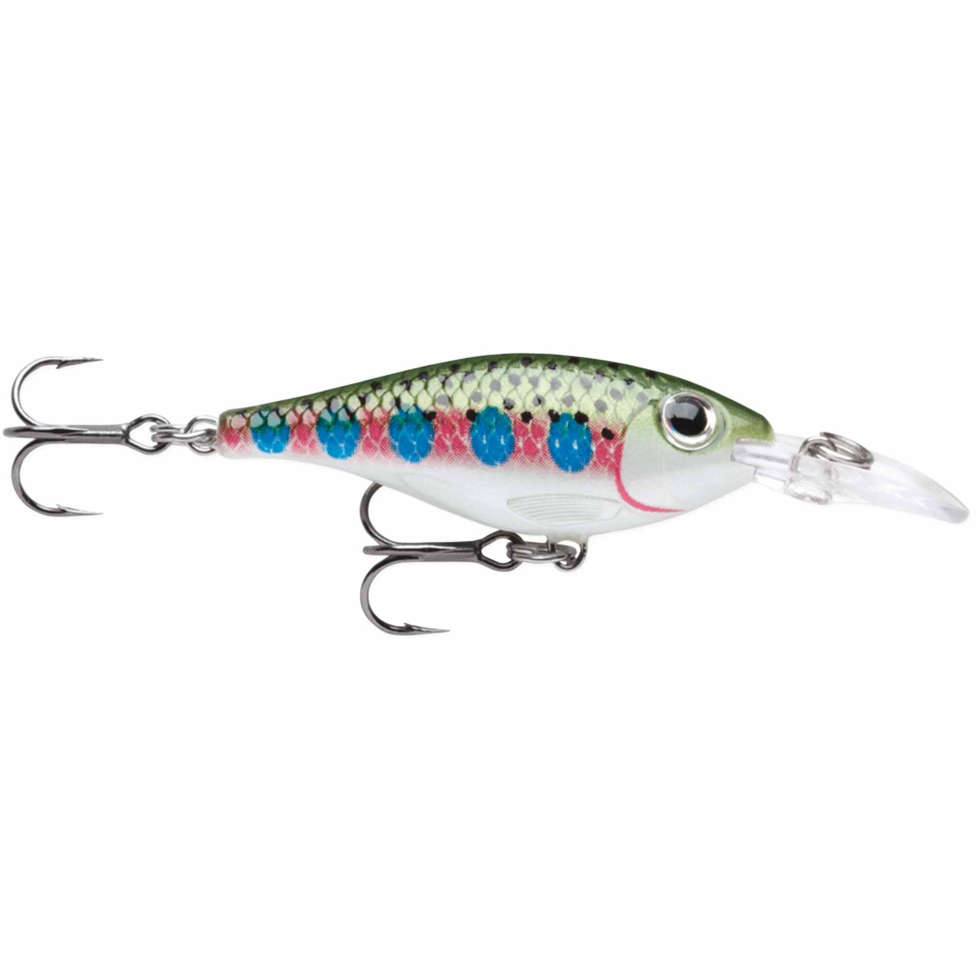 Rainbow Trout