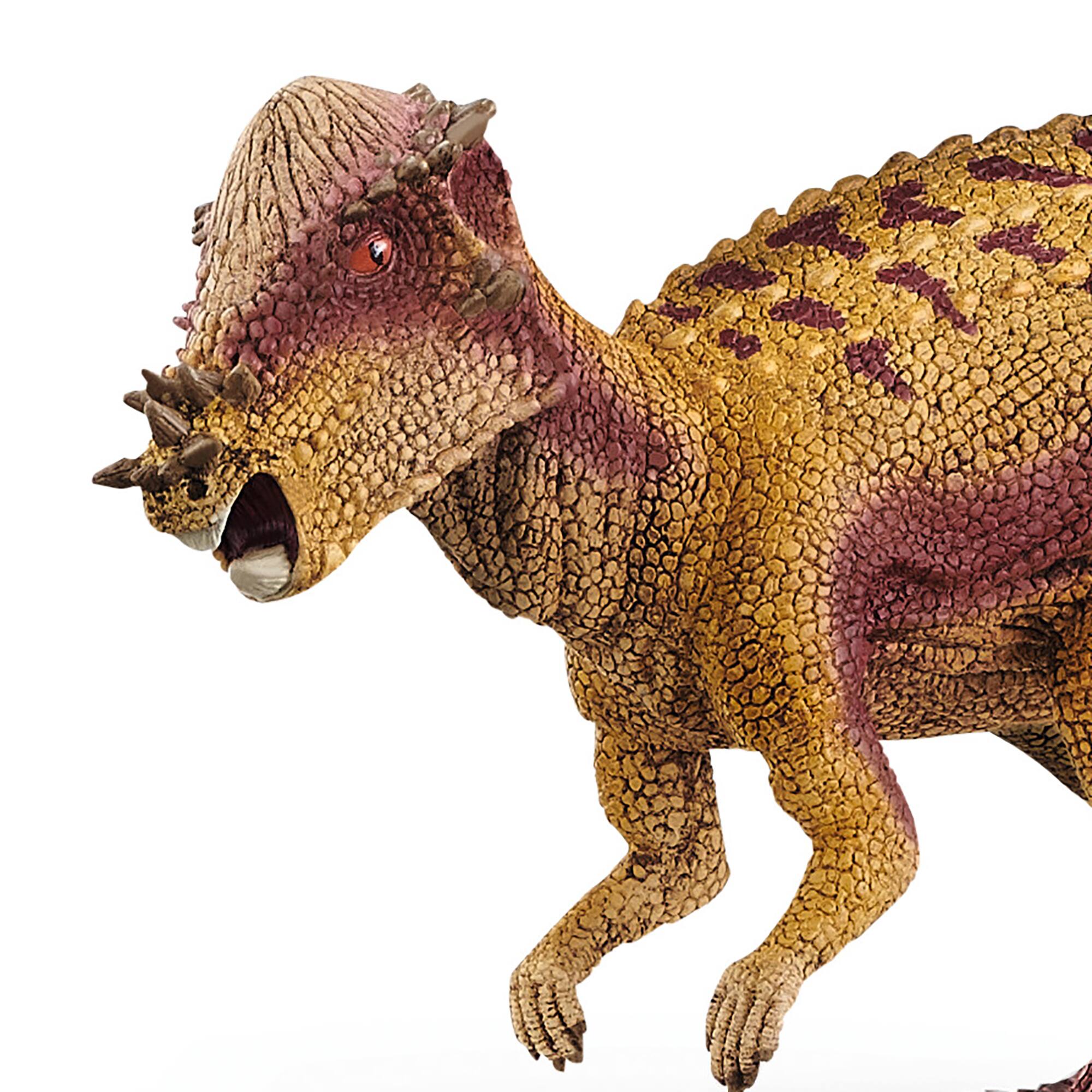 Left. Schleich - Dinosaurs: Pachycephalosaurus.