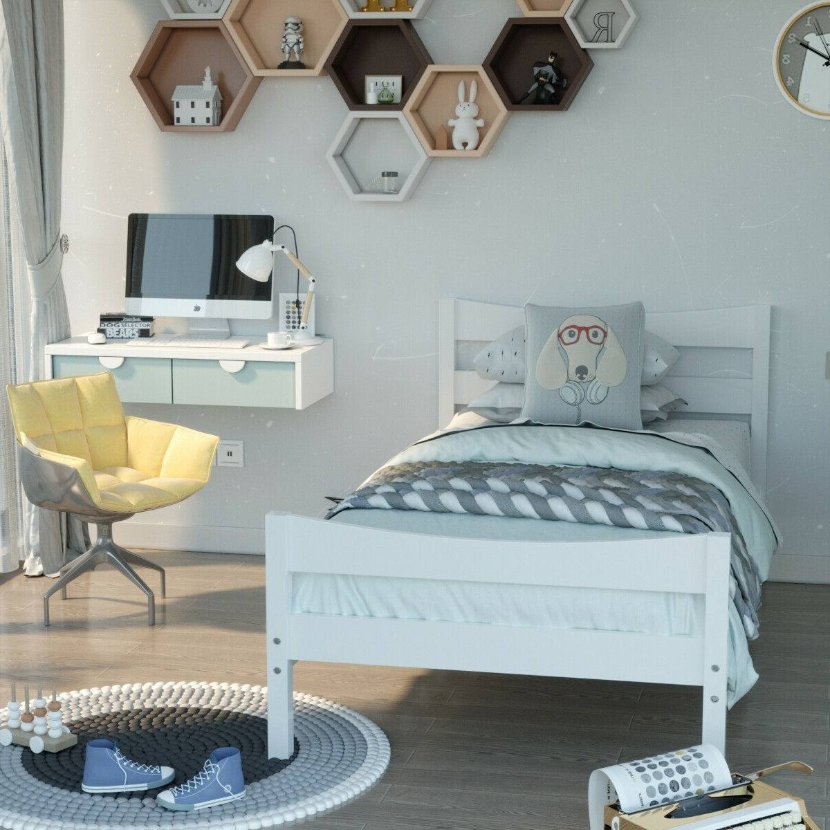 The text on the image is "BEARS".