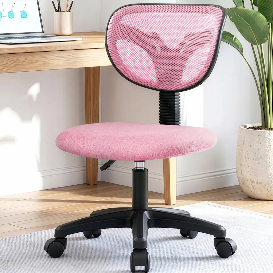 Ergomics Computer Chair Celtoss Kid Chair, Small Desk Chair, Armless Padded Seat, Swivel ...