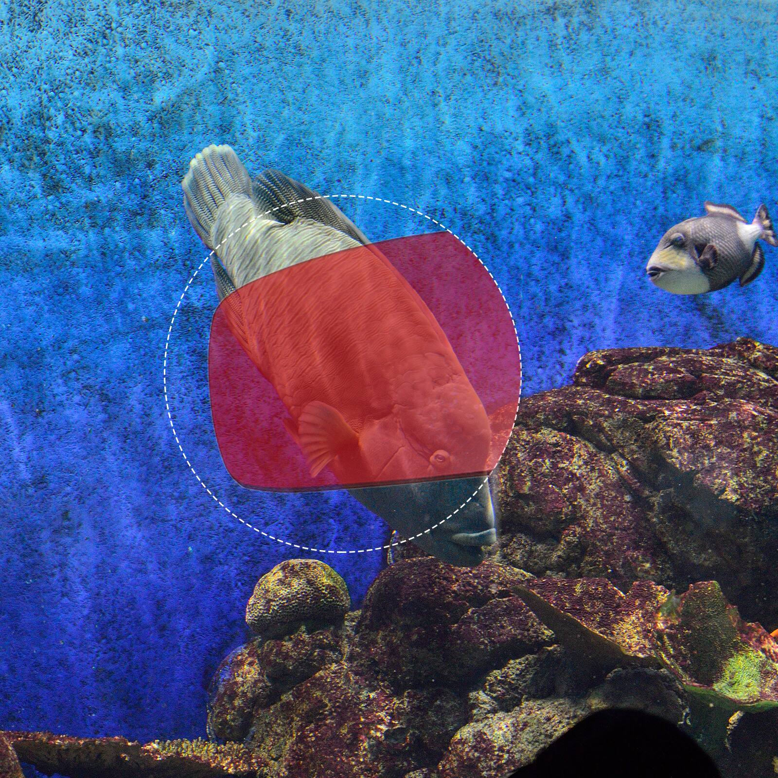 Alt View 4. Unique Bargains - 4pcs 3D Viewing Glasses, Plastic 3D Movie Glass for TV Anaglyph Stereoscopic Projection Video Game, 6" Black Frame - Red Blue.