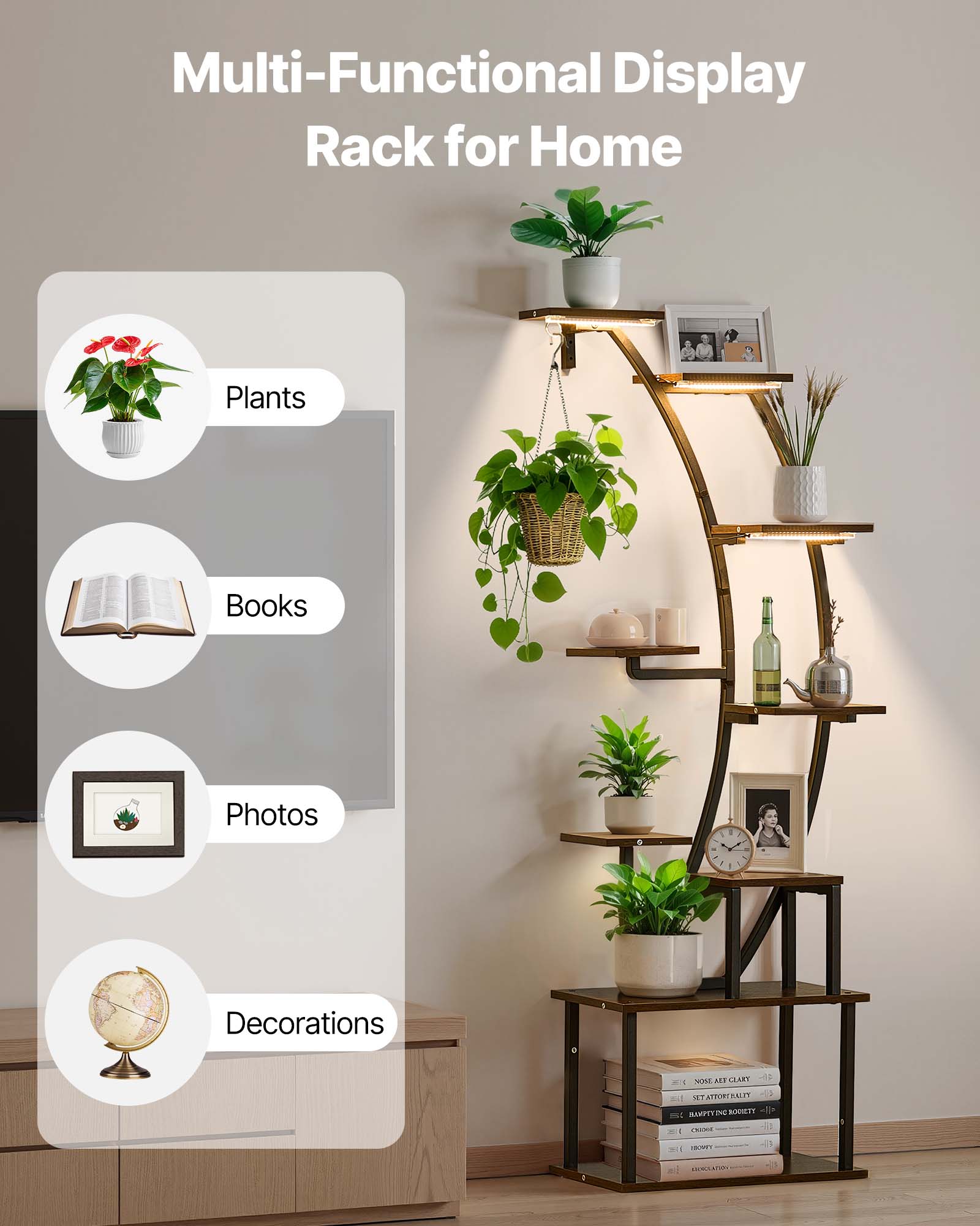 Multi-Functional Display Rack for Home Plants Books Photos Decorations