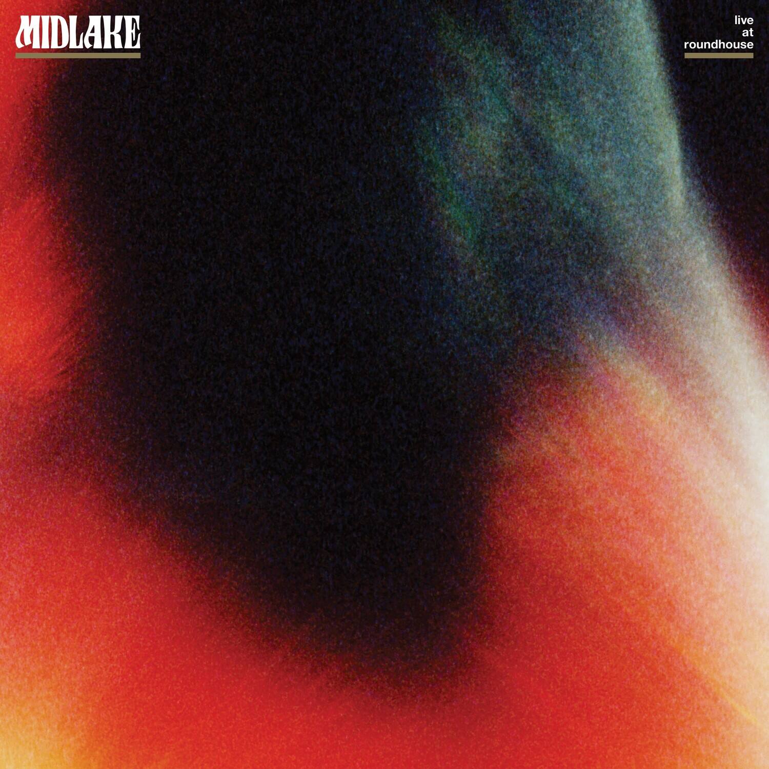 Midlake - Live At Roundhouse   - VINYL LP price history on PriceWatchPro