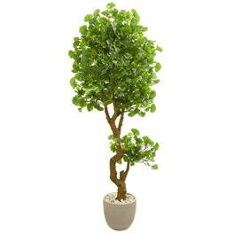 BreeBe - 6.5' Jingo Tree in Planter UV Resistant (Indoor/Outdoor) - Green
