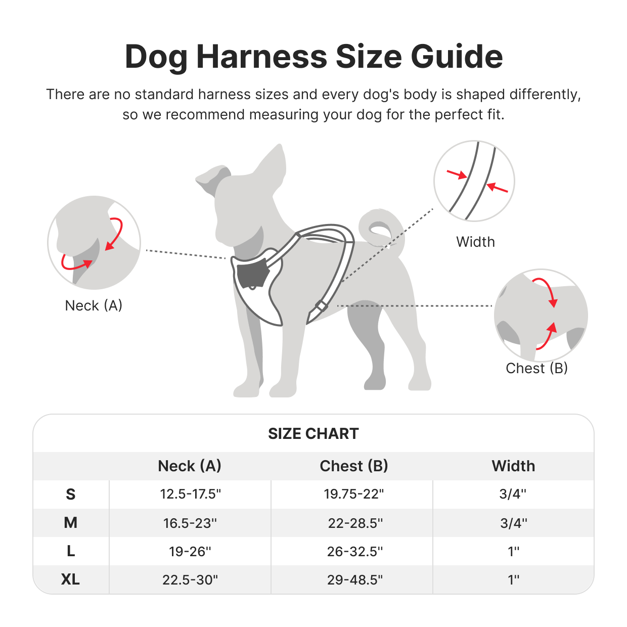 Dog Harness Size Guide

There are no standard harness sizes and every dog's body is shaped differently, so we recommend measuring your dog for the perfect fit.

Neck (A)  
Chest (B)  
Width

SIZE CHART

| Size | Neck (A) | Chest (B) | Width |
|------|---------|----------|-------|
| S    | 12.5-17.5" | 19.75-22" | 3/4"  |
| M    | 16.5-23"  | 22-28.5"  | 3/4"  |
| L    | 19-26"   | 26-32.5"  | 1"    |
| XL   | 22.5-30" | 29-48.5"  | 1"    |