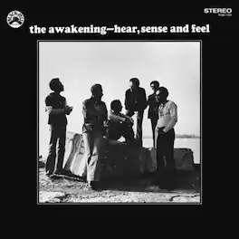 The Awakening - Hear,Sense and Feel - VINYL LP