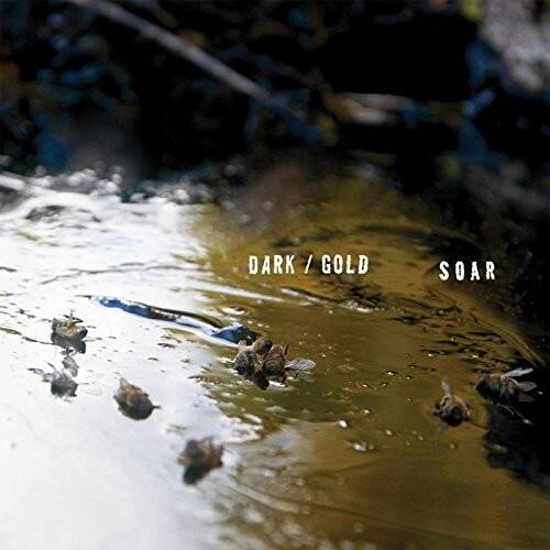 Soar - Dark / Gold   - VINYL LP price history on PriceWatchPro