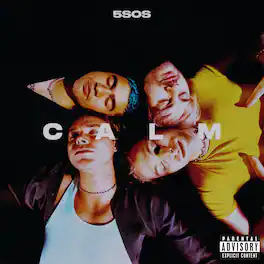 5 Seconds of Summer - CALM - VINYL LP