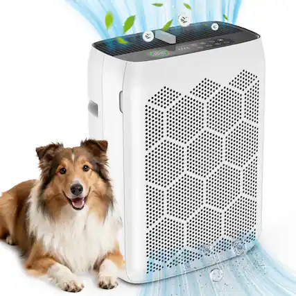 Front. Teendow - Teendow Air Purifier for Home Large Room up to 2200 Sq.ft, H13 HEPA Filter with PM2.5 Display, Timer, Sleep Mode - White.