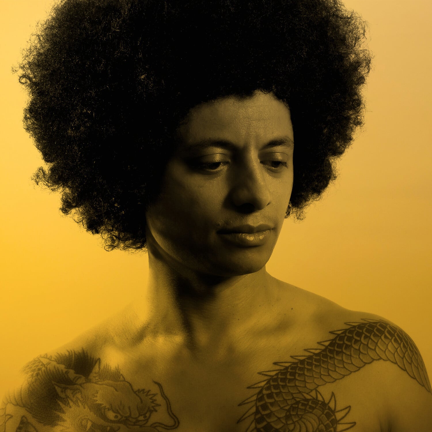 José James - No Beginning No End 2  - COMPACT DISCS