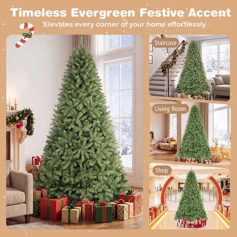 Timeless Evergreen Festive Accent  
Elevates every corner of your home effortlessly  

Staircase  
Living Room  
Shop