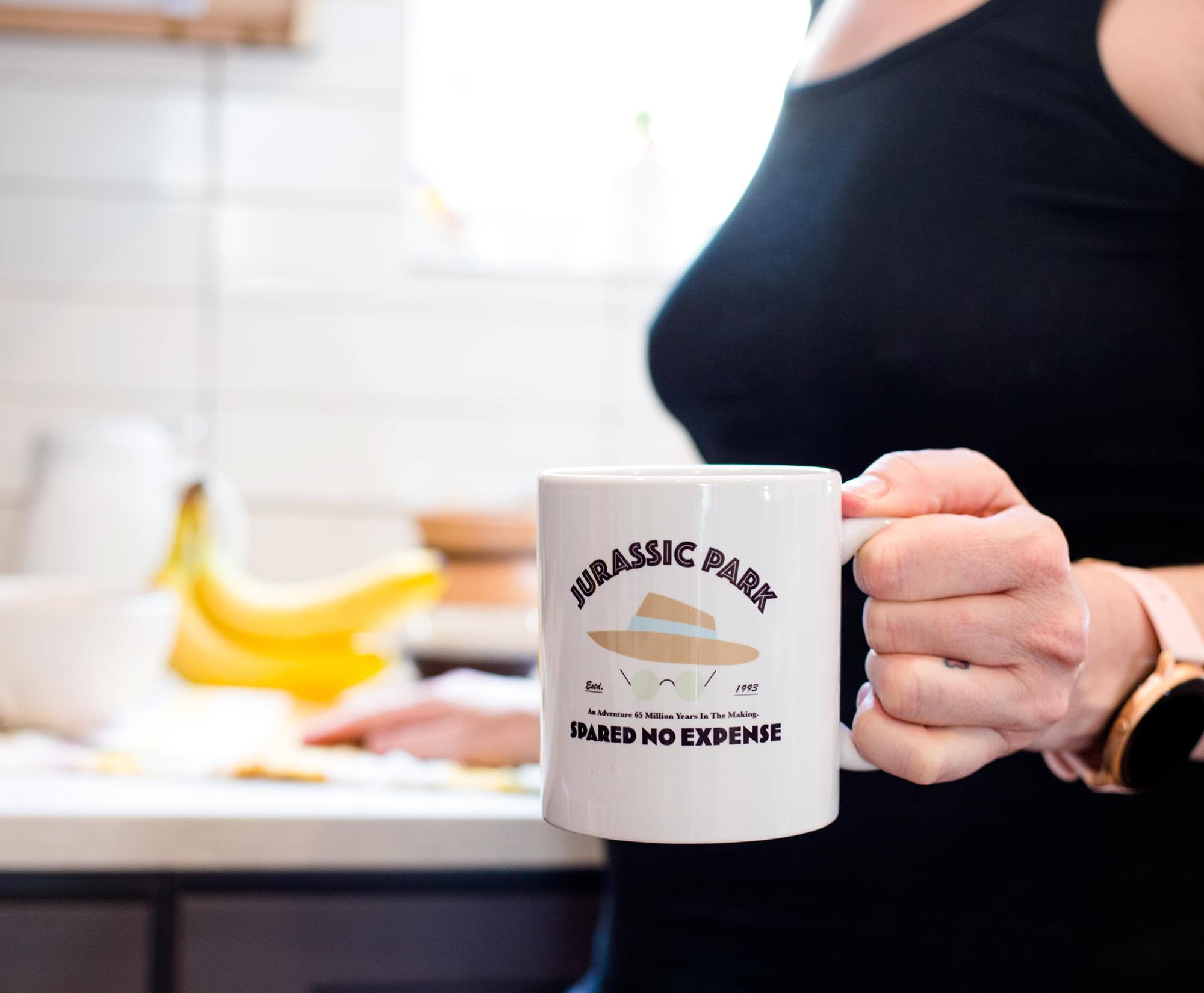 JURASSIC PARK  
1995  

6 Million Years In The Making  

SPARED NO EXPENSE