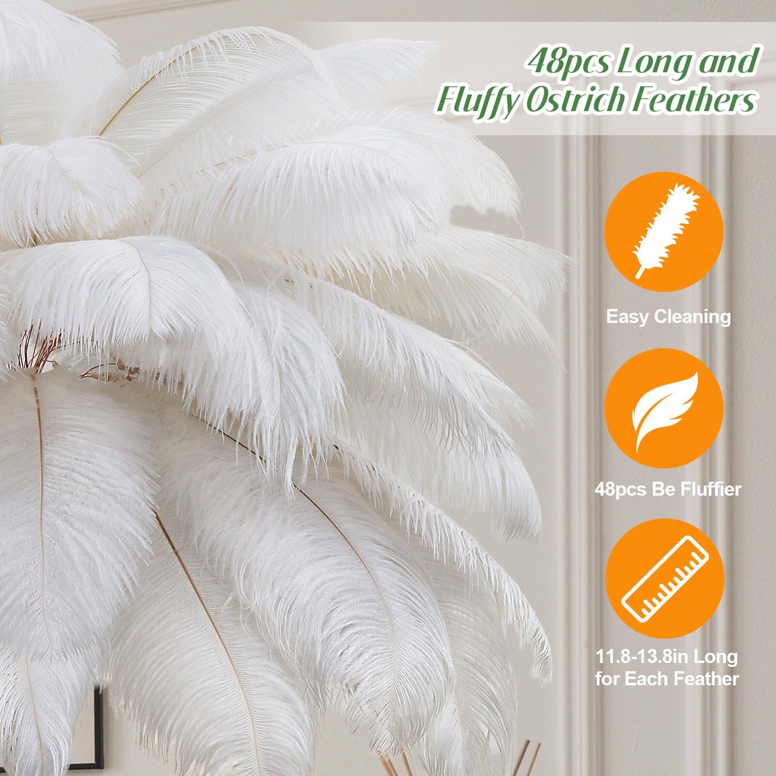 48pcs Long and Fluffy Ostrich Feathers

Easy Cleaning

48pcs Be Fluffier

11.8-13.8in Long for Each Feather