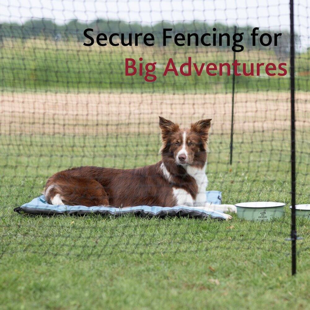 Secure Fencing for Big Adventures