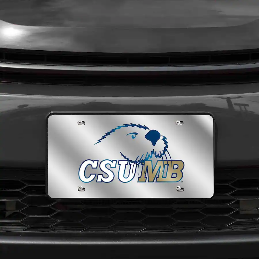 Rico Industries California Cal State CSU MB Monterey Bay Otters Acrylic ...