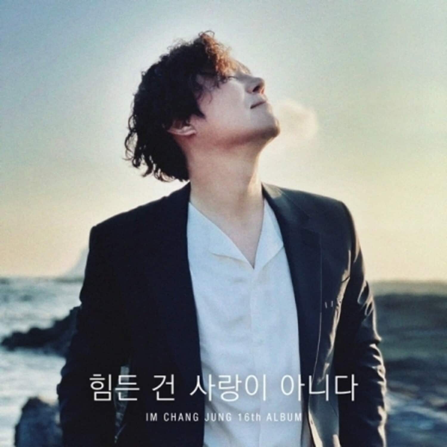 Im Chang Jung - It's Not Love That's Hard (incl. Booklet)   - COMPACT DISCS [CD] price history on PriceWatchPro