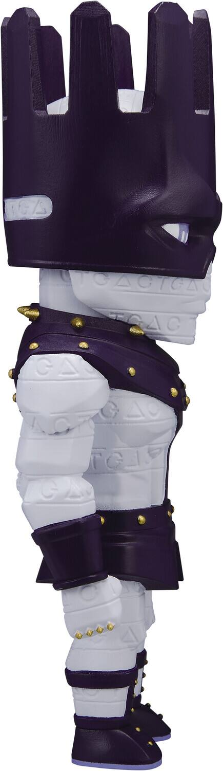 The text on the image reads:

"IGA TCACTCA GAC CAS G AOT TG4 GA"