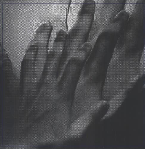Painted Caves - Surveillance   - VINYL LP price history on PriceWatchPro