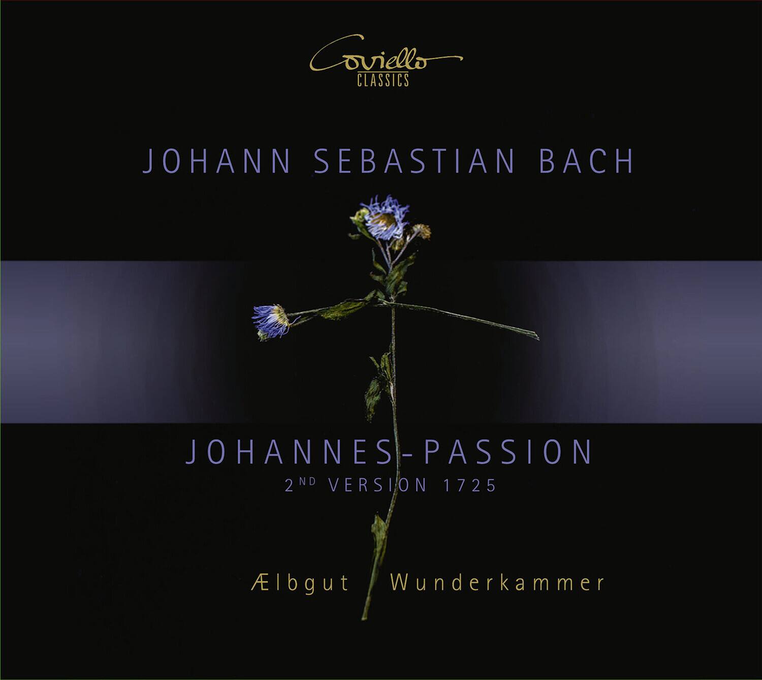Aelbgut  Wunderkammer - Passion   - COMPACT DISCS [CD] price history on PriceWatchPro
