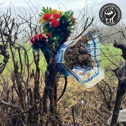 The Black Dog Sleep Deprivation
Est. 1989