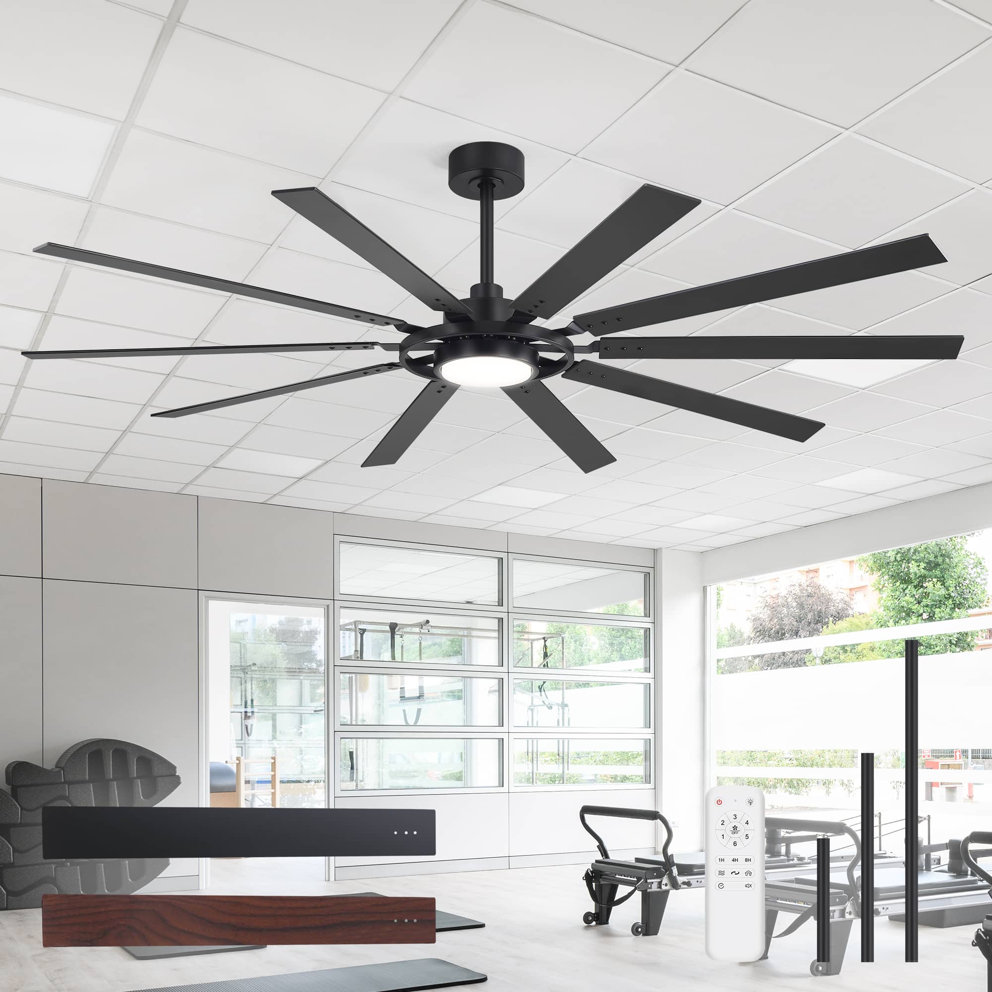 Ceiling Fans