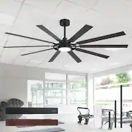 Ceiling Fans