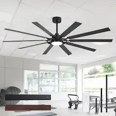 Ceiling Fans