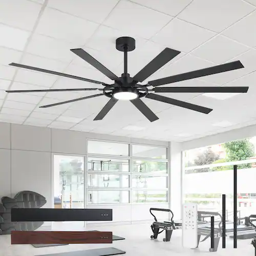 Ceiling Fans