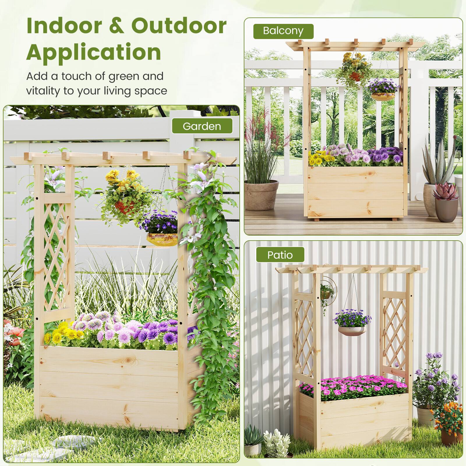 Indoor & Outdoor Application  
Add a touch of green and vitality to your living space  

Garden  
Balcony  
Patio