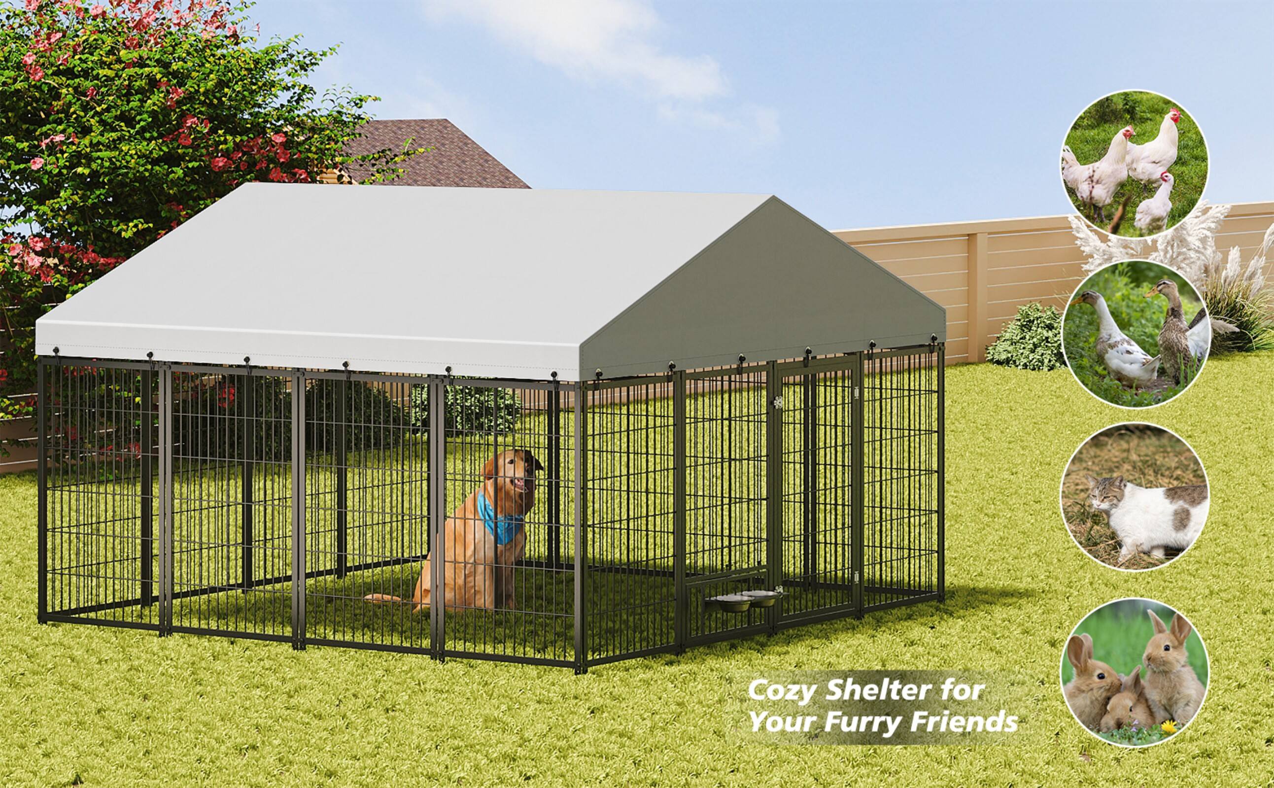 Cozy Shelter for Your Furry Friends