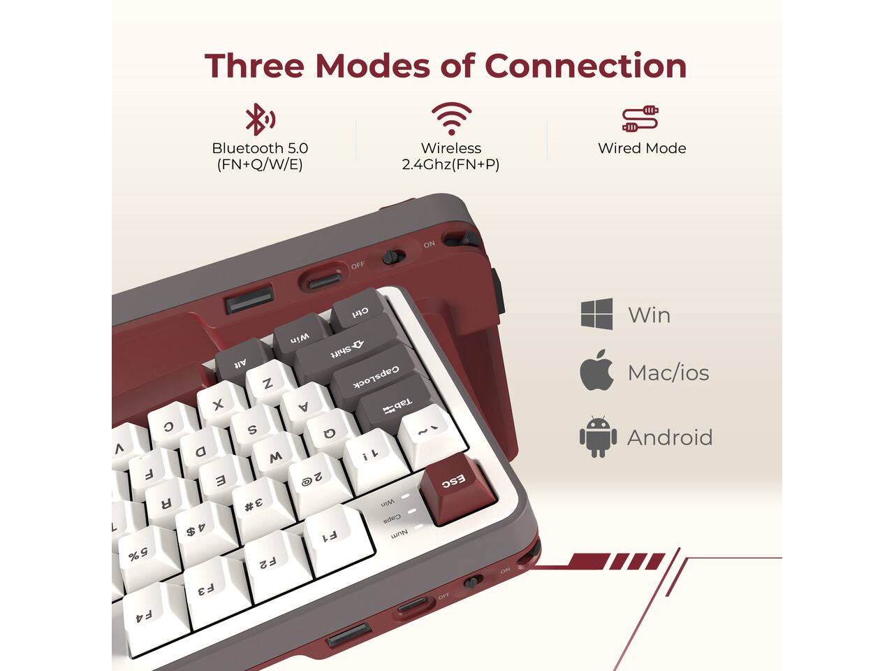 Three Modes of Connection

Bluetooth 5.0 (FN+Q/W/E)
Wireless 2.4Ghz (FN+P)
Wired Mode

ON OFF

Ctrl Win Shift Alt Z CapsLock X A Tab C S Q ^ D M F 2 E R 3# Win Caps 4$ F1 Num 5% F2 F3 F4

ESC OFF ON

Win Mac/ios Android