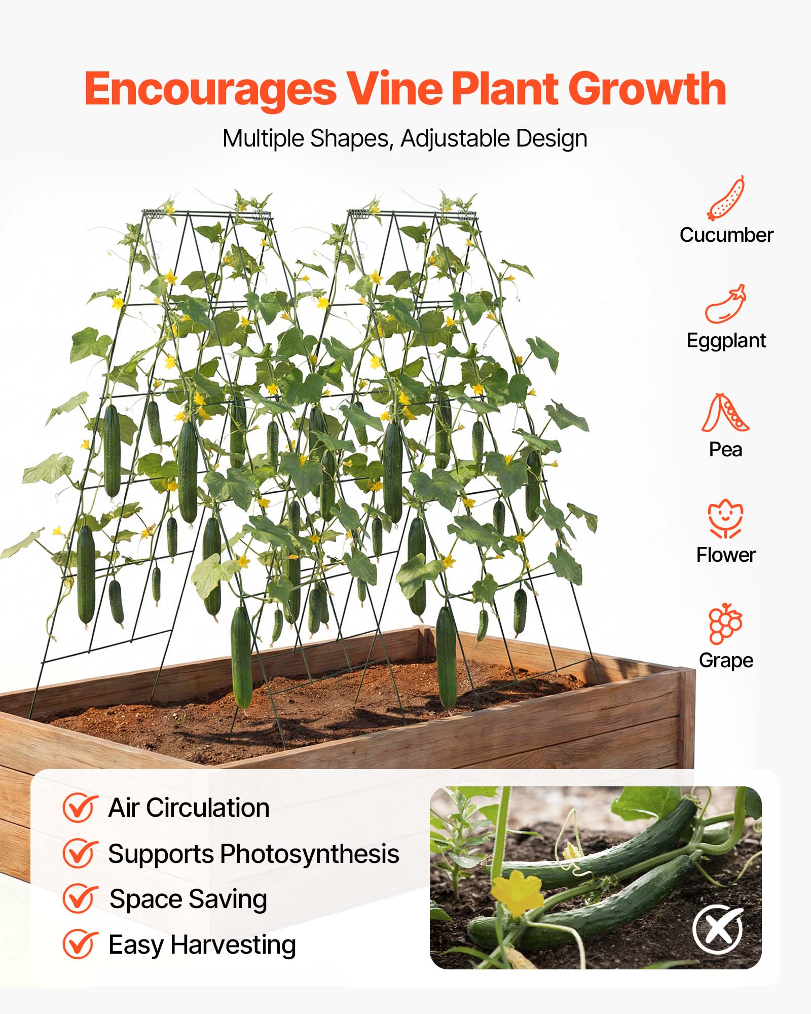 Encourages Vine Plant Growth  
Multiple Shapes, Adjustable Design  

Cucumber  
Eggplant  
Pea  
Flower  
Grape  

Air Circulation  
Supports Photosynthesis  
Space Saving  
Easy Harvesting