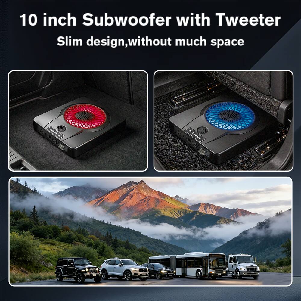10 inch Subwoofer with Tweeter  
Slim design, without much space