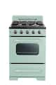 Unique Appliances - 24 in. Wide 4 burner Classic Retro 2.9 Cu. Ft. Freestanding Gas Convection Range - Summer Mint Green