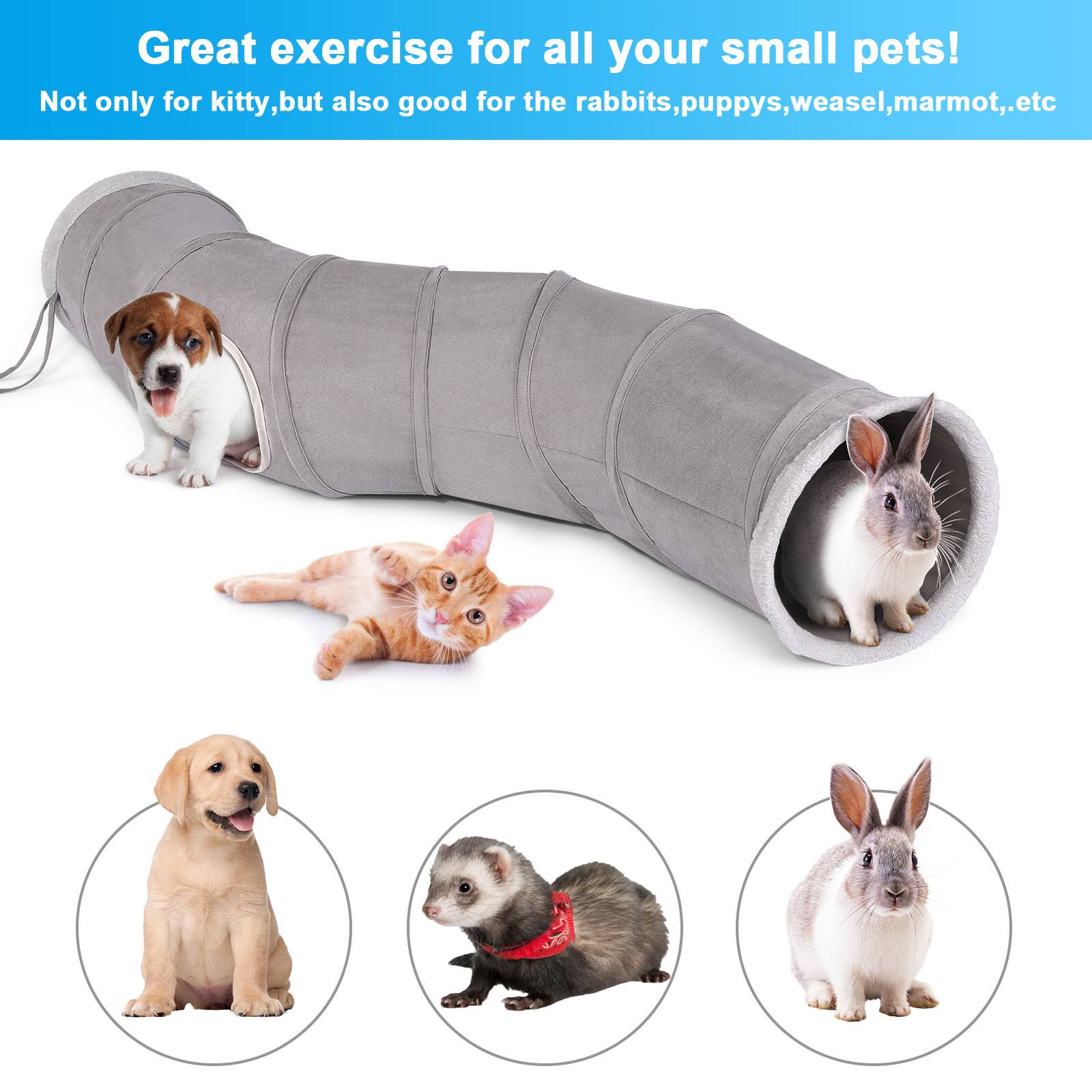 Great exercise for all your small pets! Not only for kitty, but also good for the rabbits, puppies, weasel, marmot, etc.