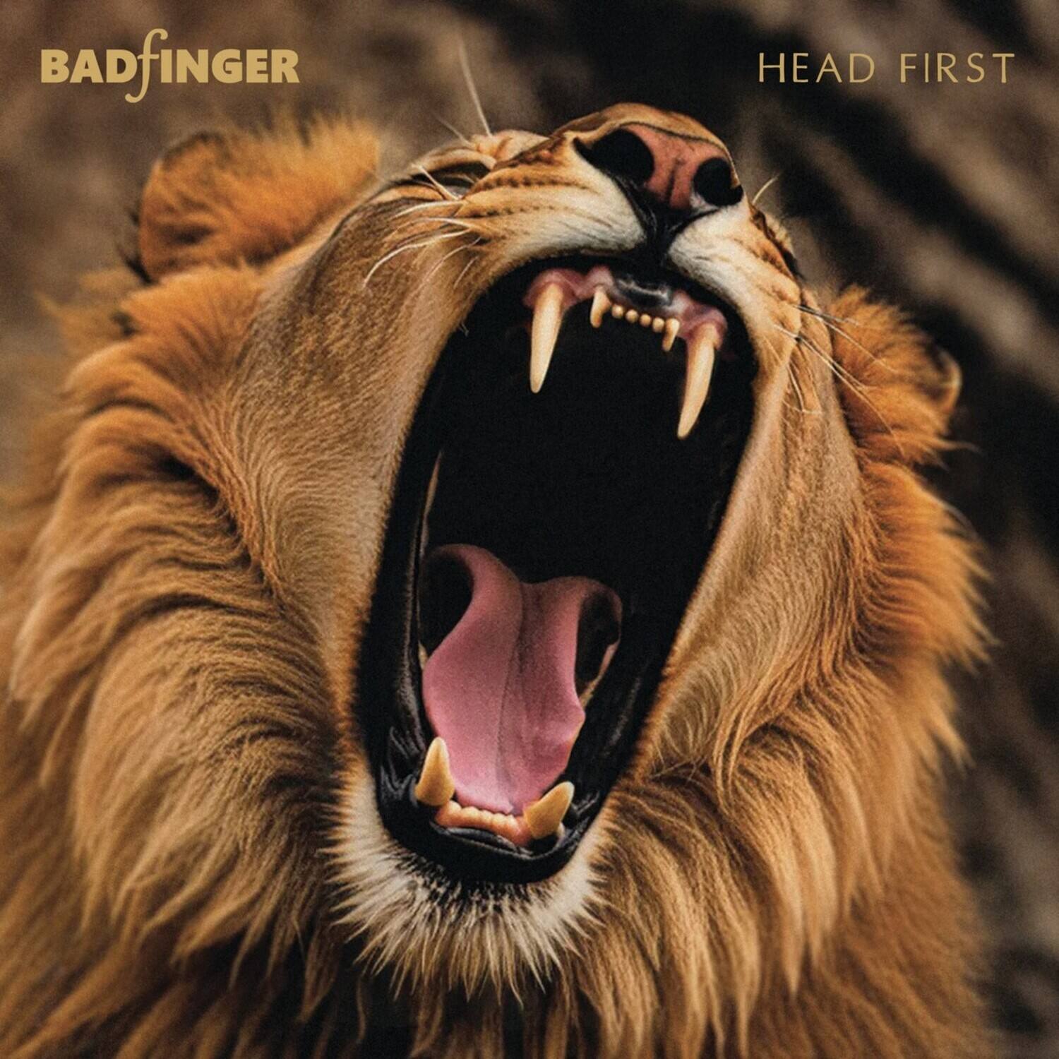 BADfinger  
HEAD FIRST