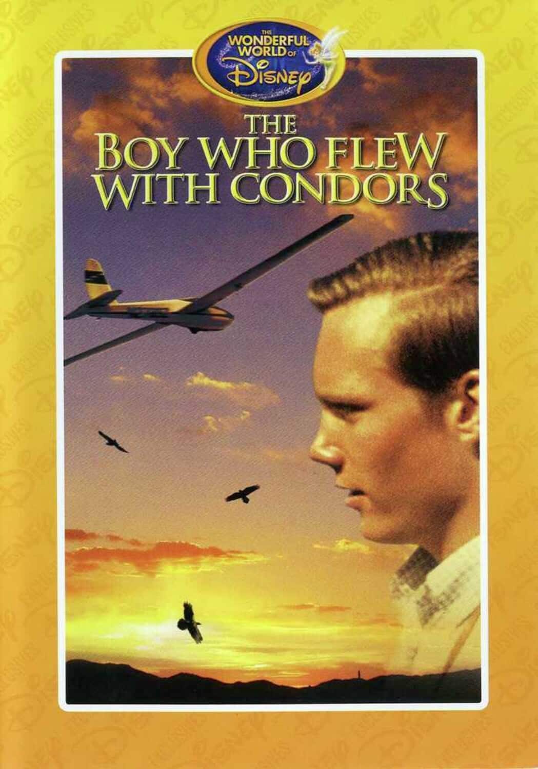 The Boy Who Flew With Condors  - DVD