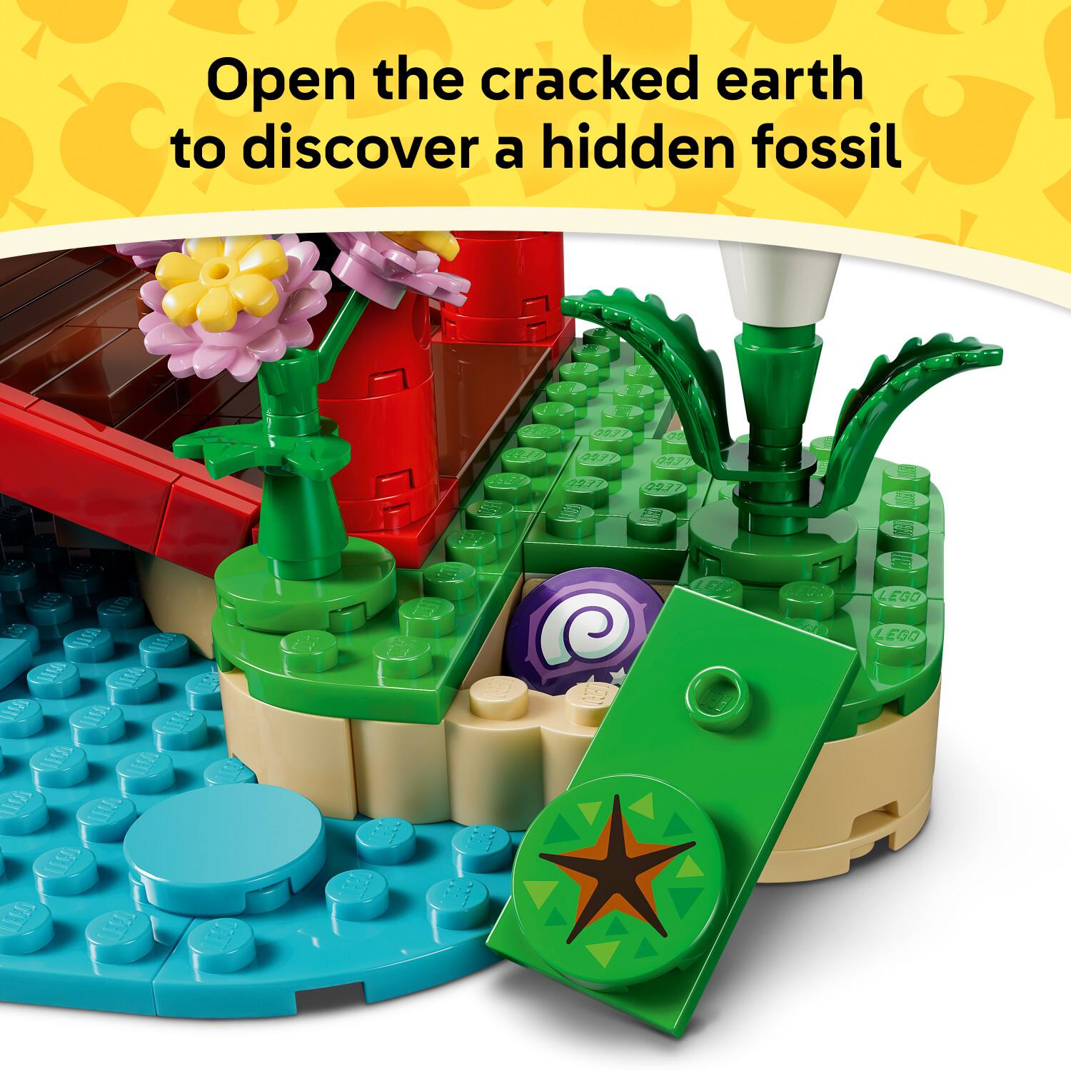 Open the cracked earth to discover a hidden fossil