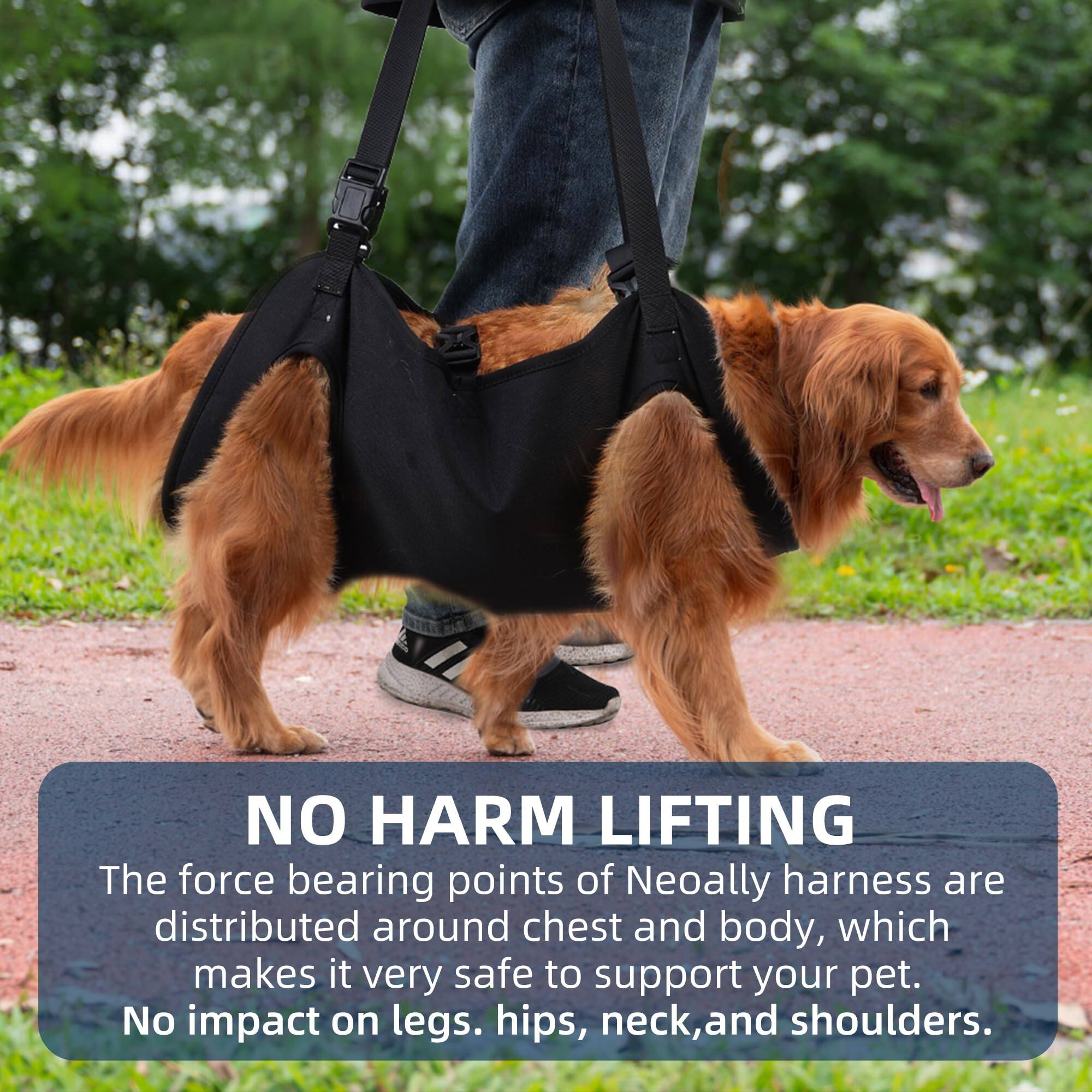 NO HARM LIFTING

The force bearing points of Neoally harness are distributed around chest and body, which makes it very safe to support your pet. No impact on legs, hips, neck, and shoulders.