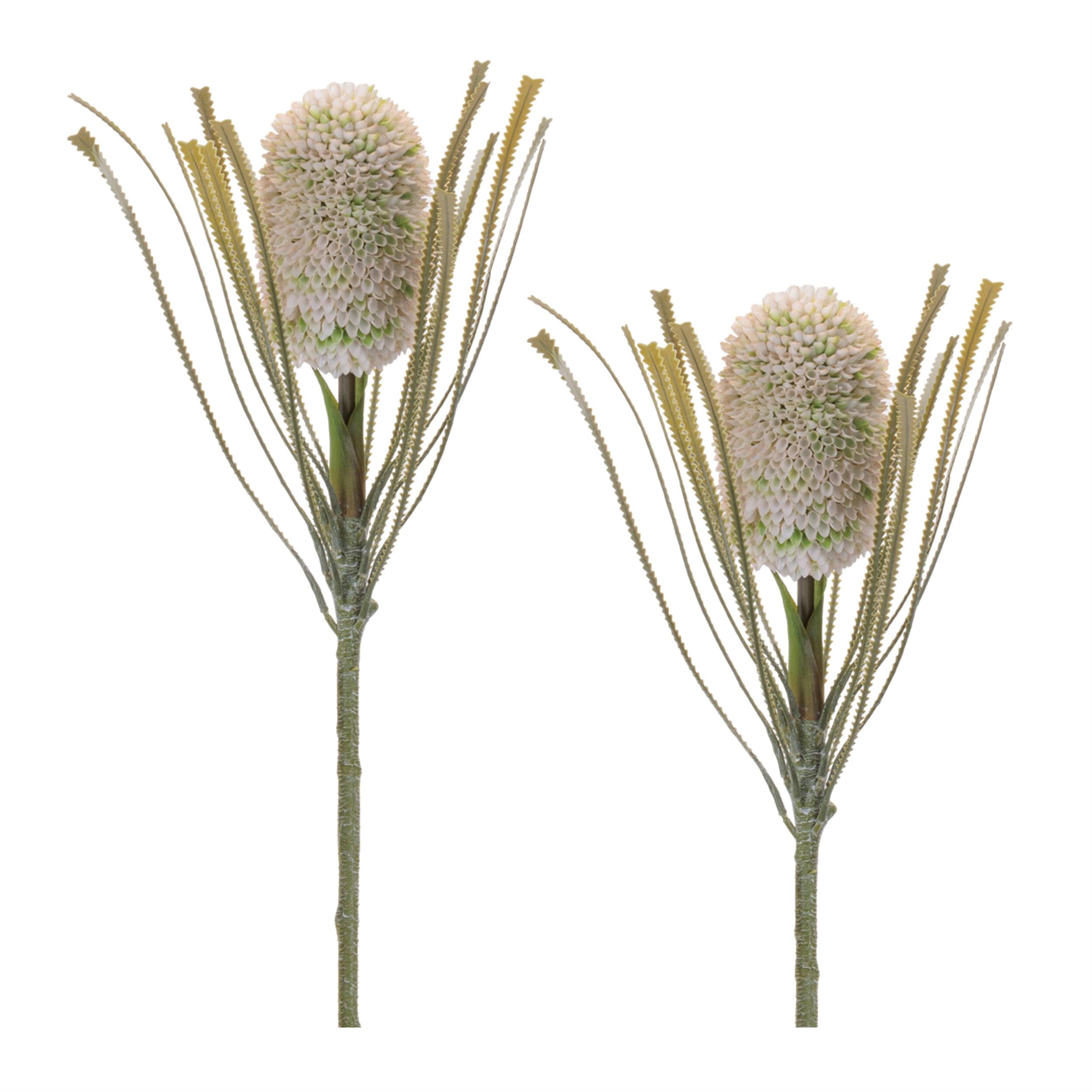BreeBe - Protea Floral Stem (Set of 2) - Green