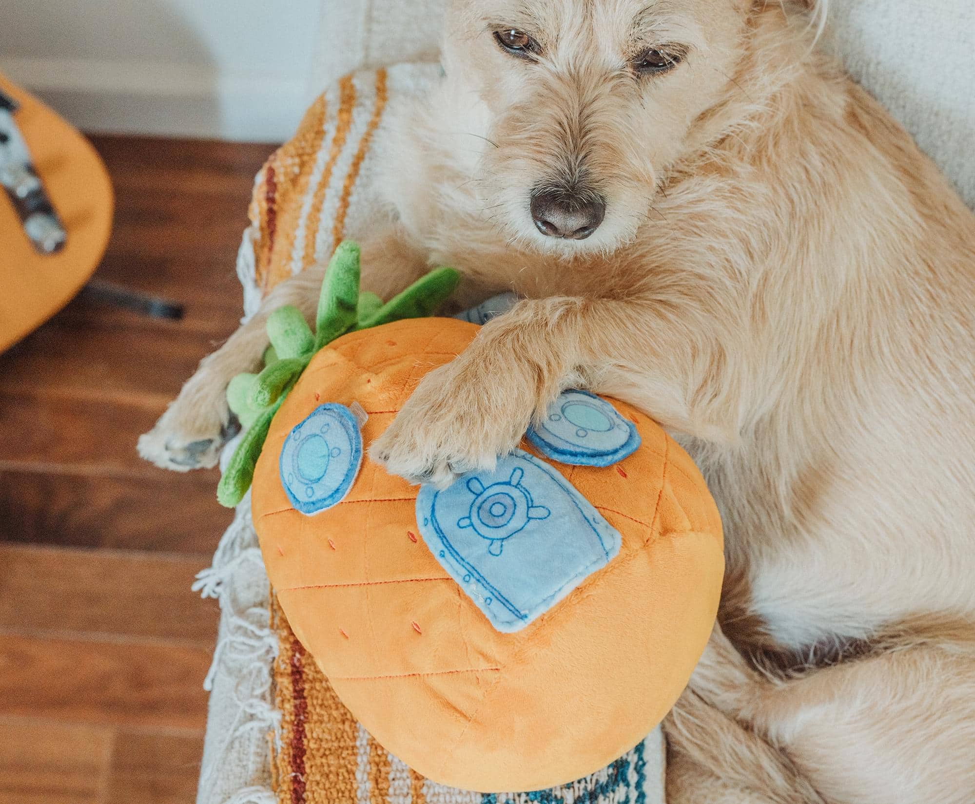 Alt View 5. Nickelodeon - Nickelodeon SpongeBob SquarePants Pineapple House Squeaky Pet Toy Plush - Multi-Colored.