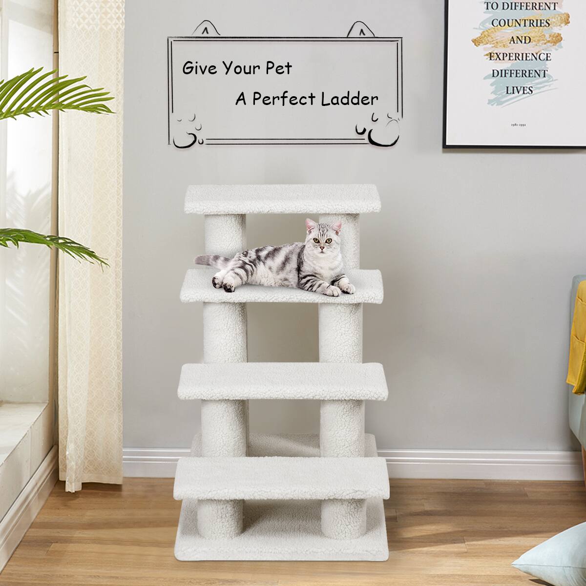 Give Your Pet A Perfect Ladder, To Different Countries And Experience Different Lives